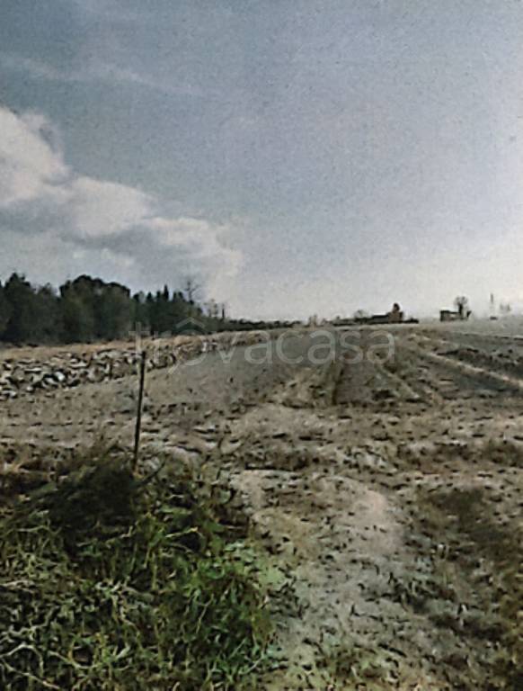 immagine annuncio 4 di 13