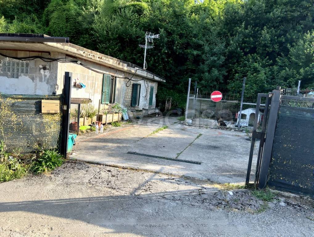 immagine annuncio 1 di 3