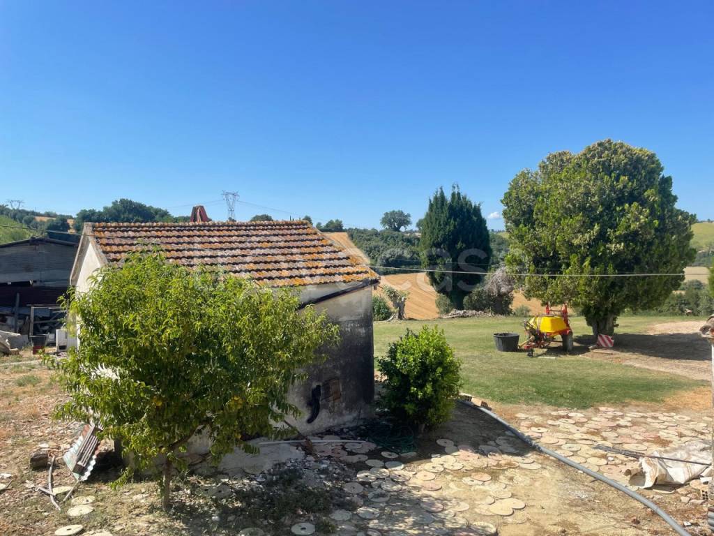 immagine annuncio 9 di 10