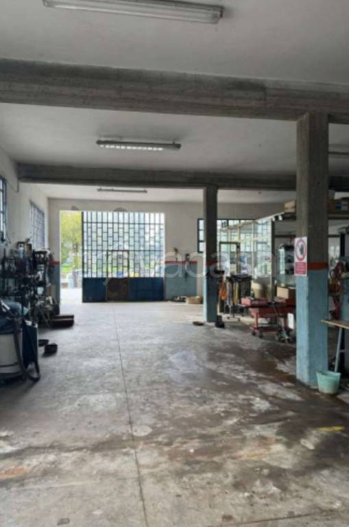 immagine annuncio 5 di 11