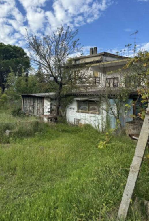 immagine annuncio 7 di 11