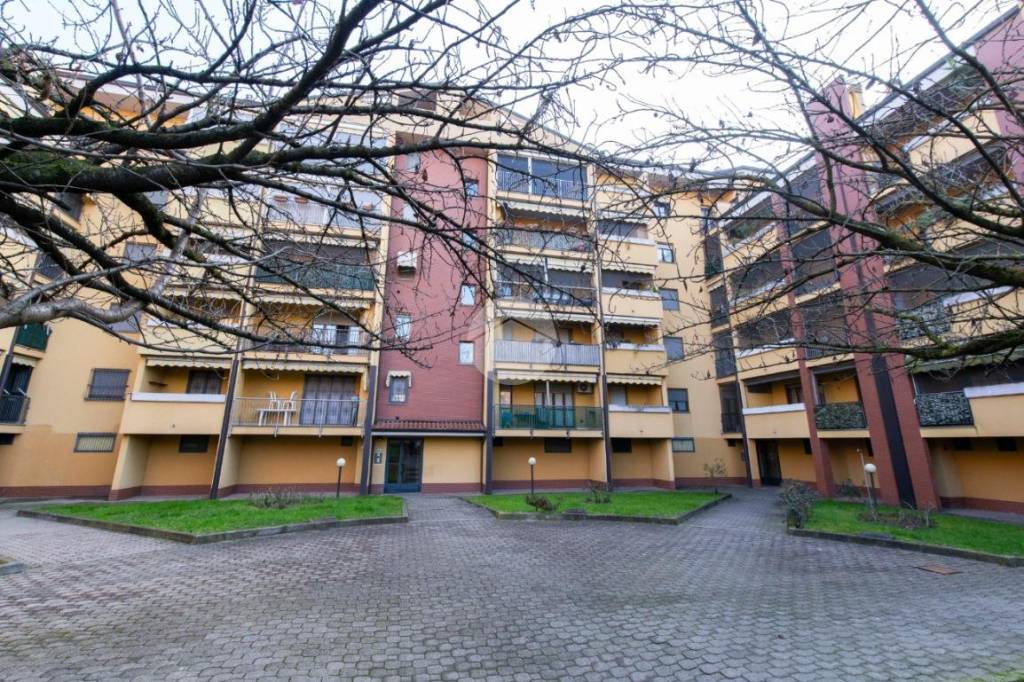 immagine annuncio 2 di 15