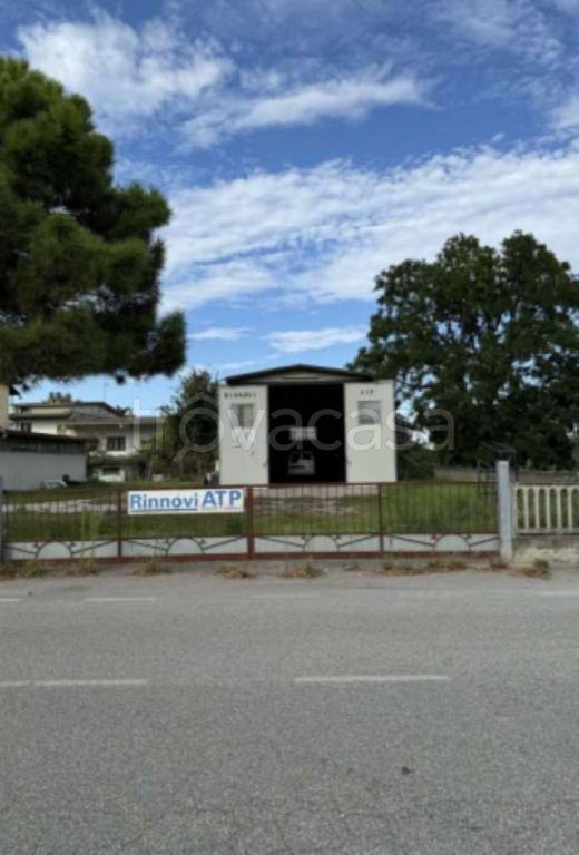 immagine annuncio 9 di 11