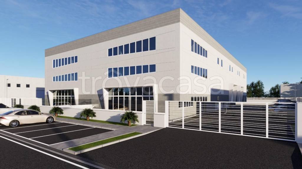 immagine annuncio 11 di 14