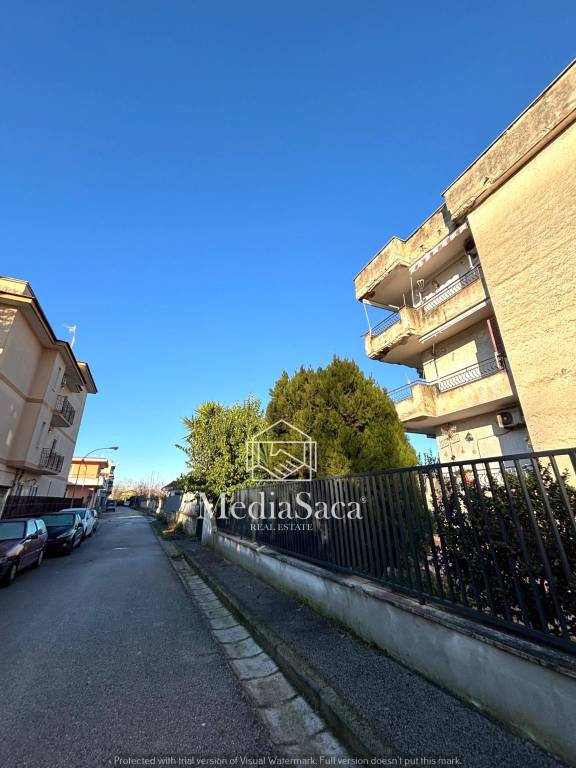 immagine annuncio 2 di 12