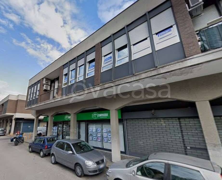 immagine annuncio 2 di 12