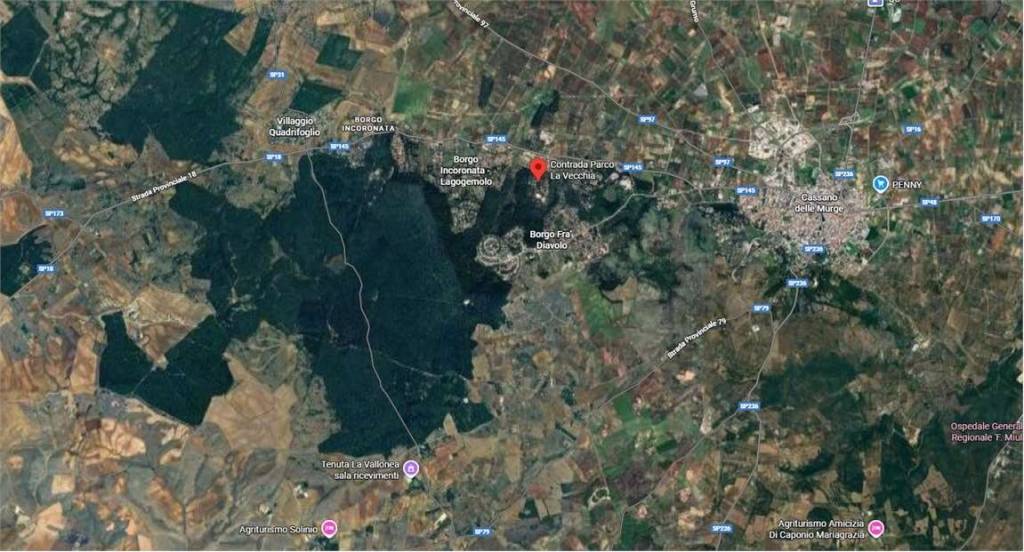 immagine annuncio 8 di 15