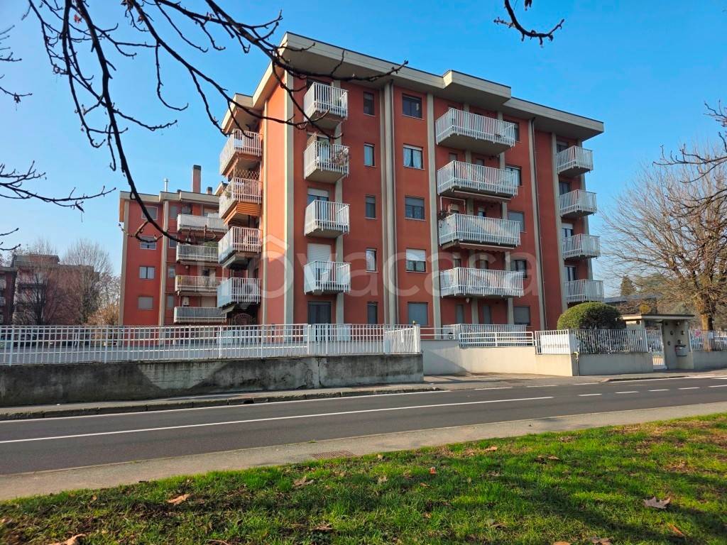 immagine annuncio 4 di 15