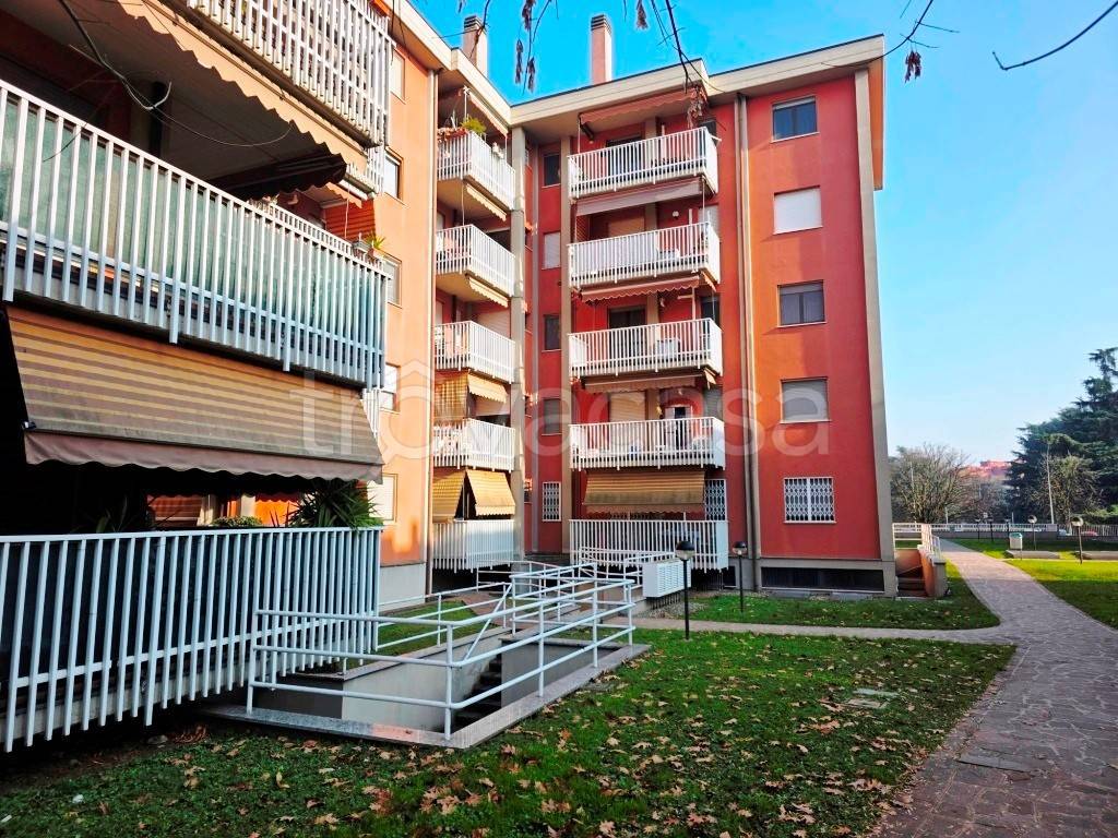 immagine annuncio 6 di 15