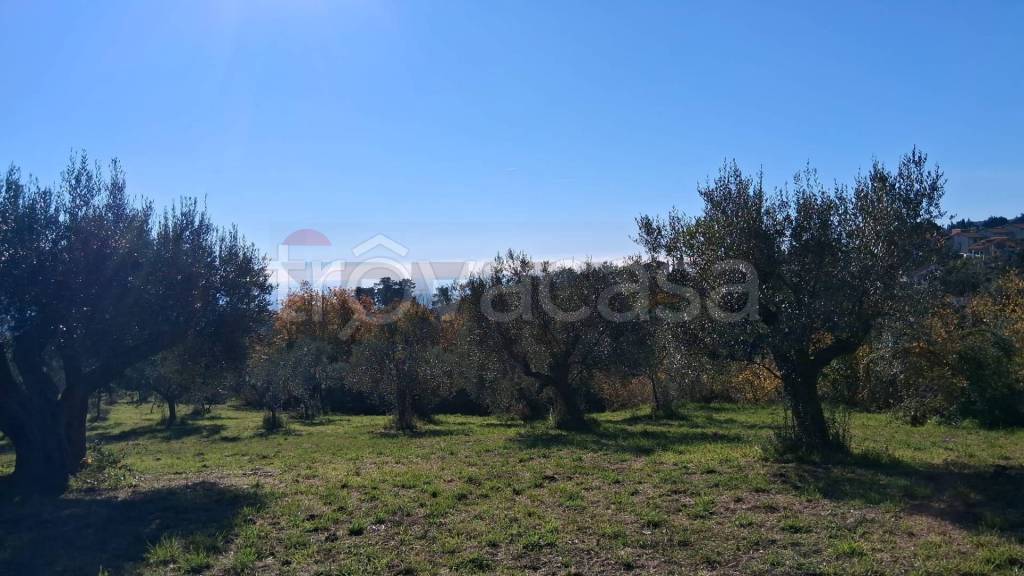 immagine annuncio 4 di 12