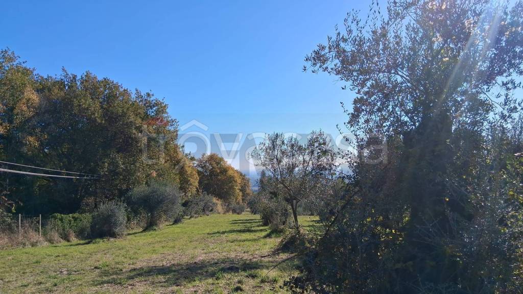 immagine annuncio 5 di 12