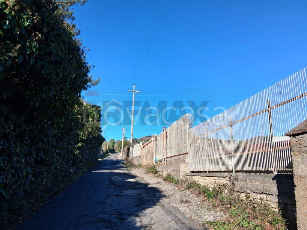 immagine annuncio 7 di 12