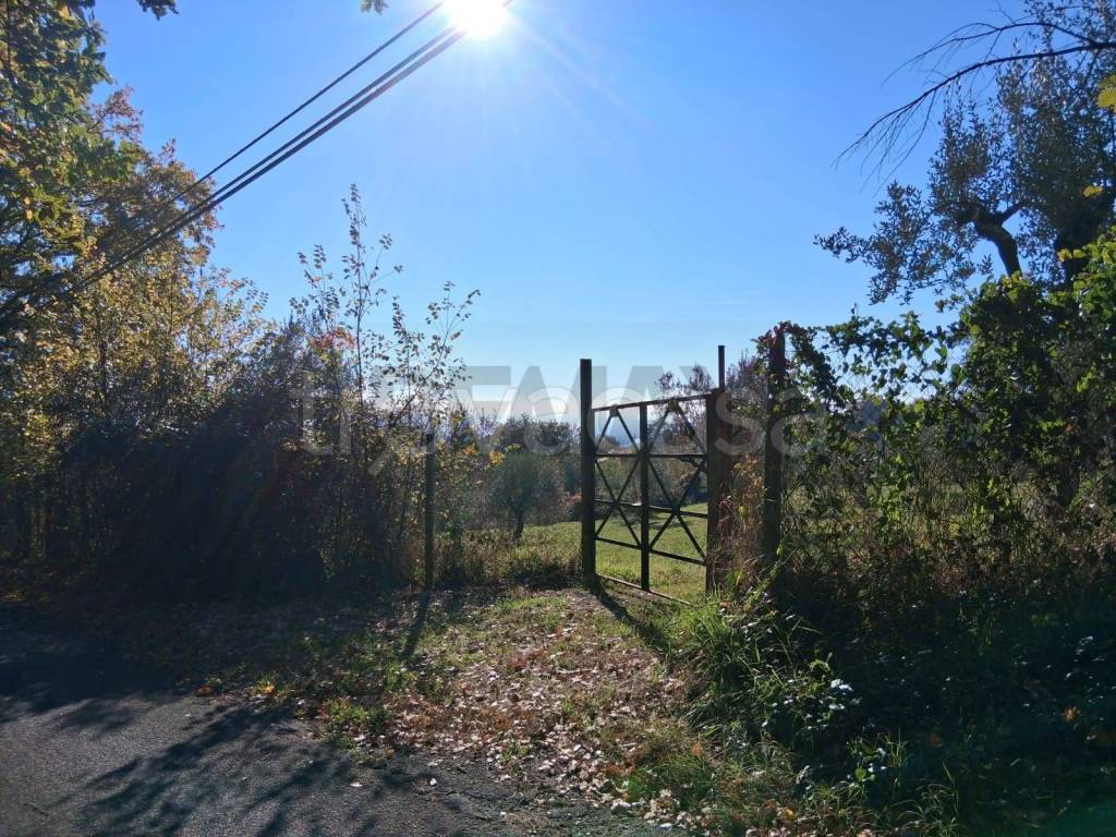 immagine annuncio 10 di 12