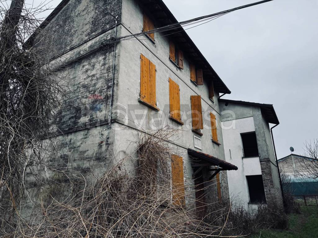 immagine annuncio 5 di 6