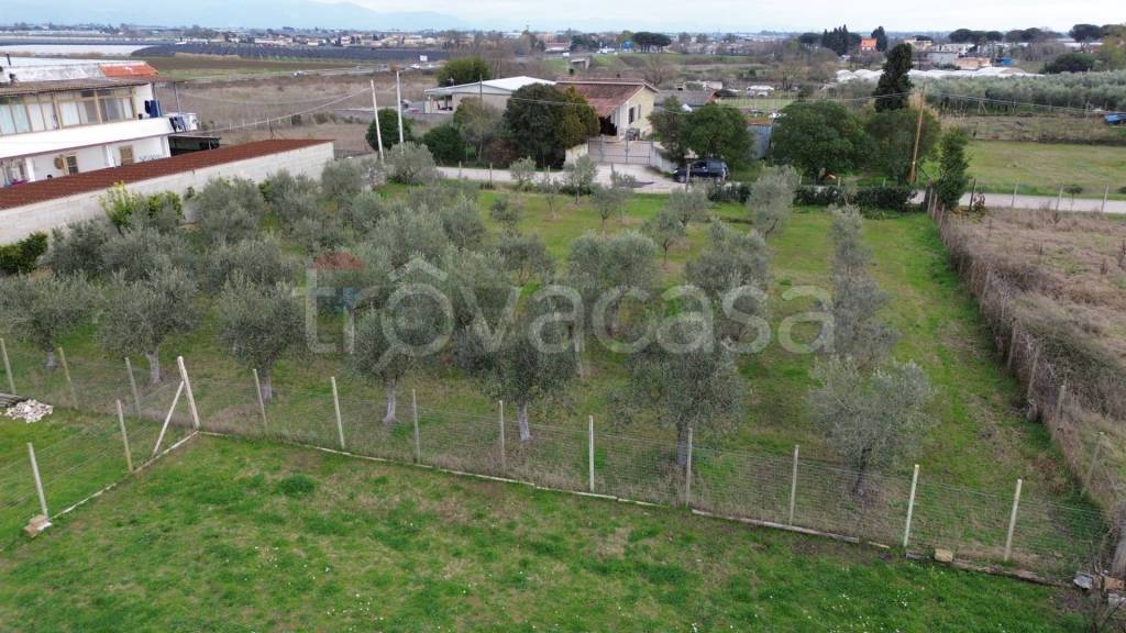 immagine annuncio 1 di 7