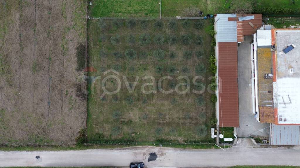 immagine annuncio 4 di 7