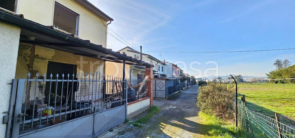 immagine annuncio 4 di 14