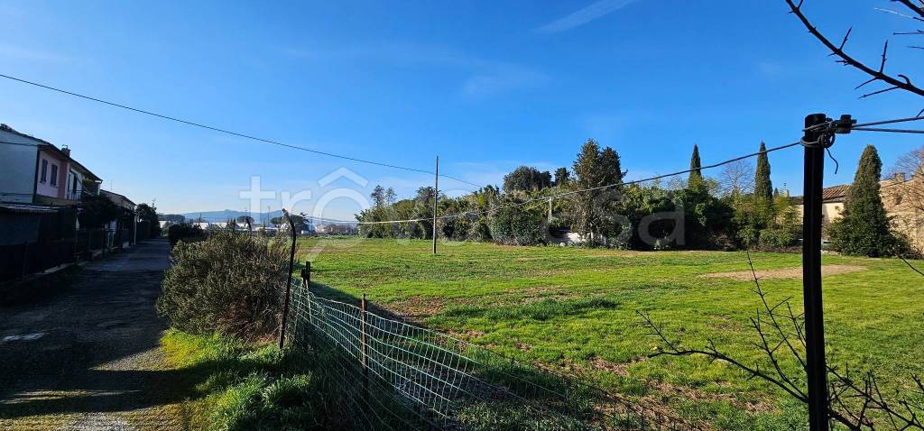 immagine annuncio 5 di 14