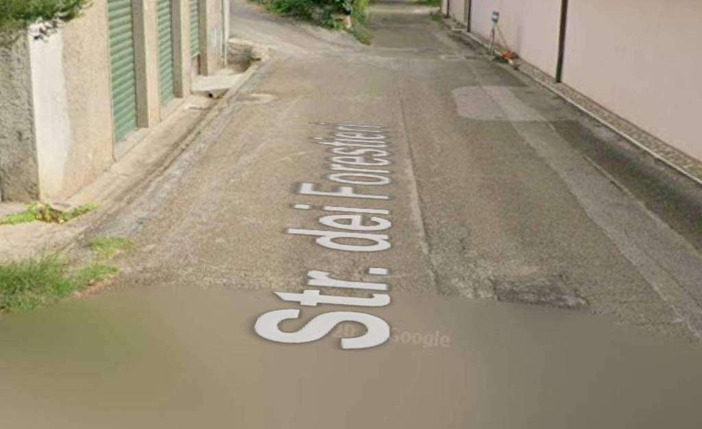 immagine annuncio 10 di 14