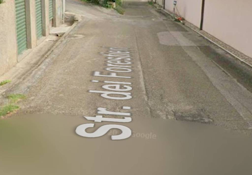 immagine annuncio 11 di 14