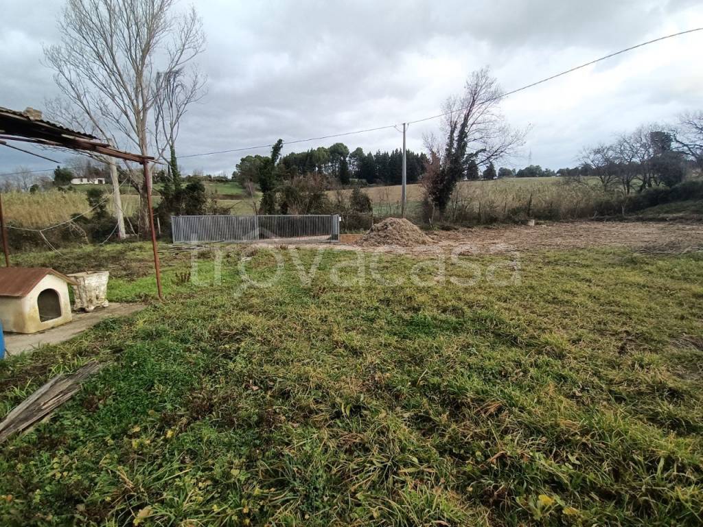 immagine annuncio 3 di 8