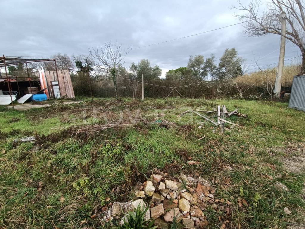 immagine annuncio 4 di 8