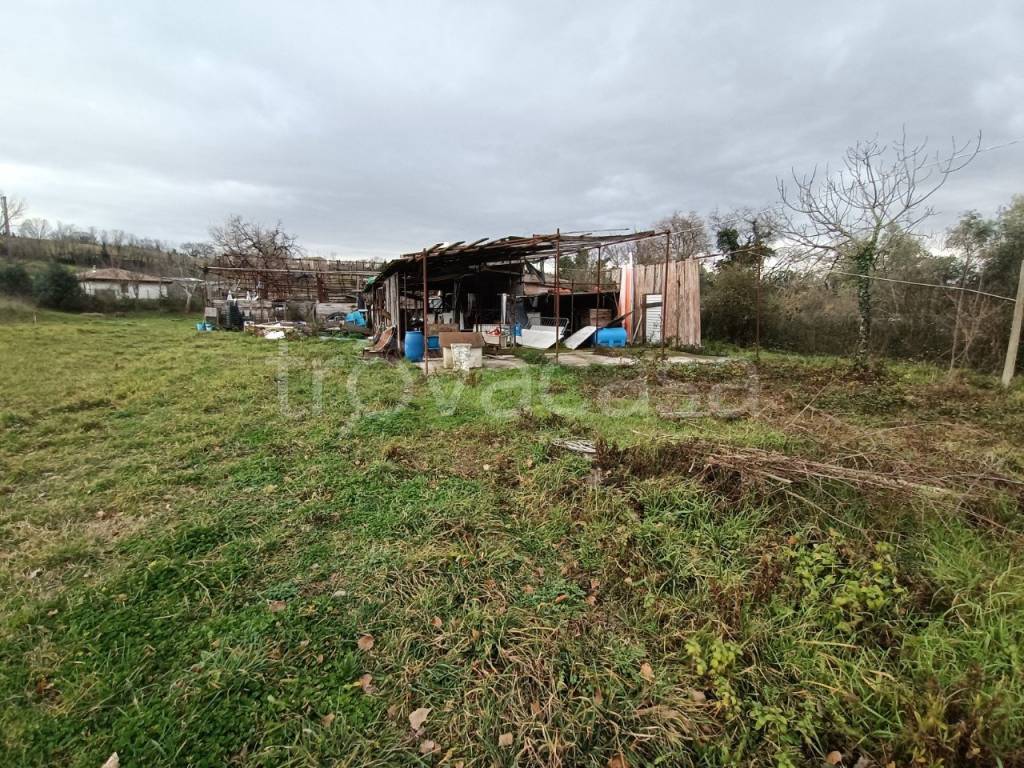 immagine annuncio 5 di 8