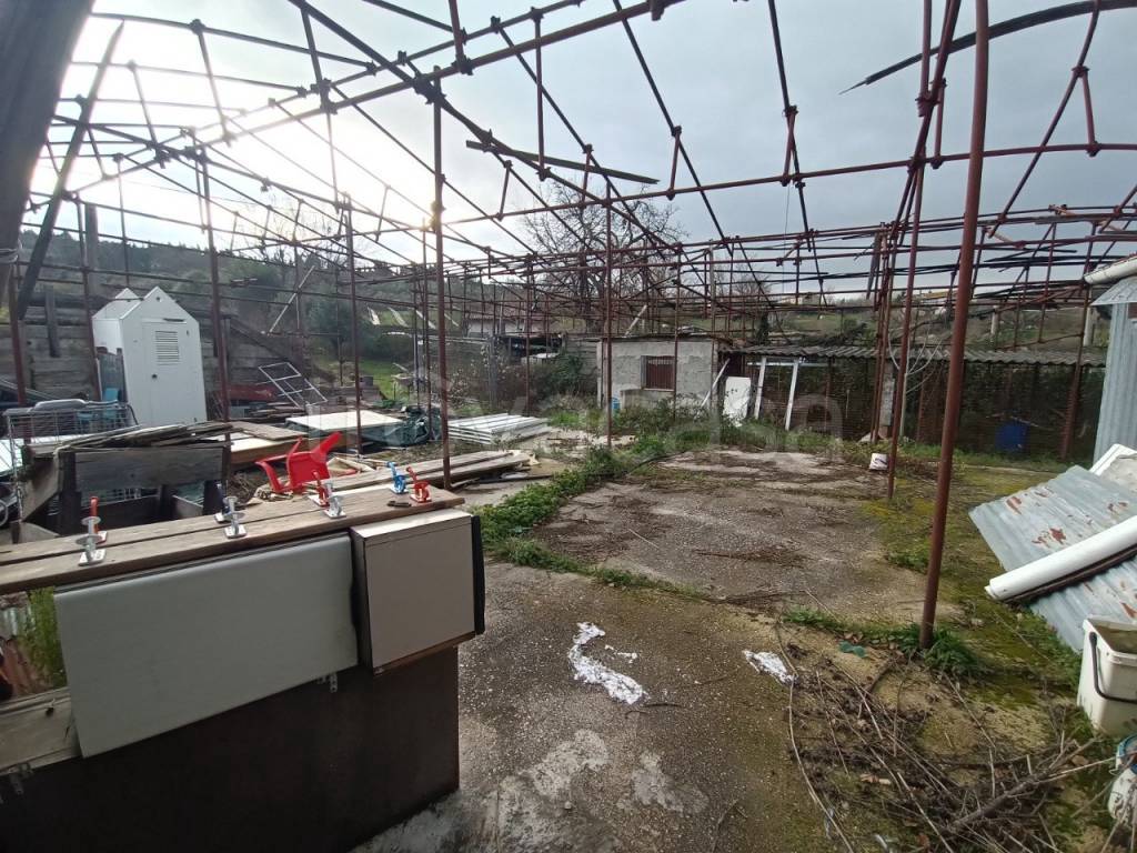 immagine annuncio 6 di 8