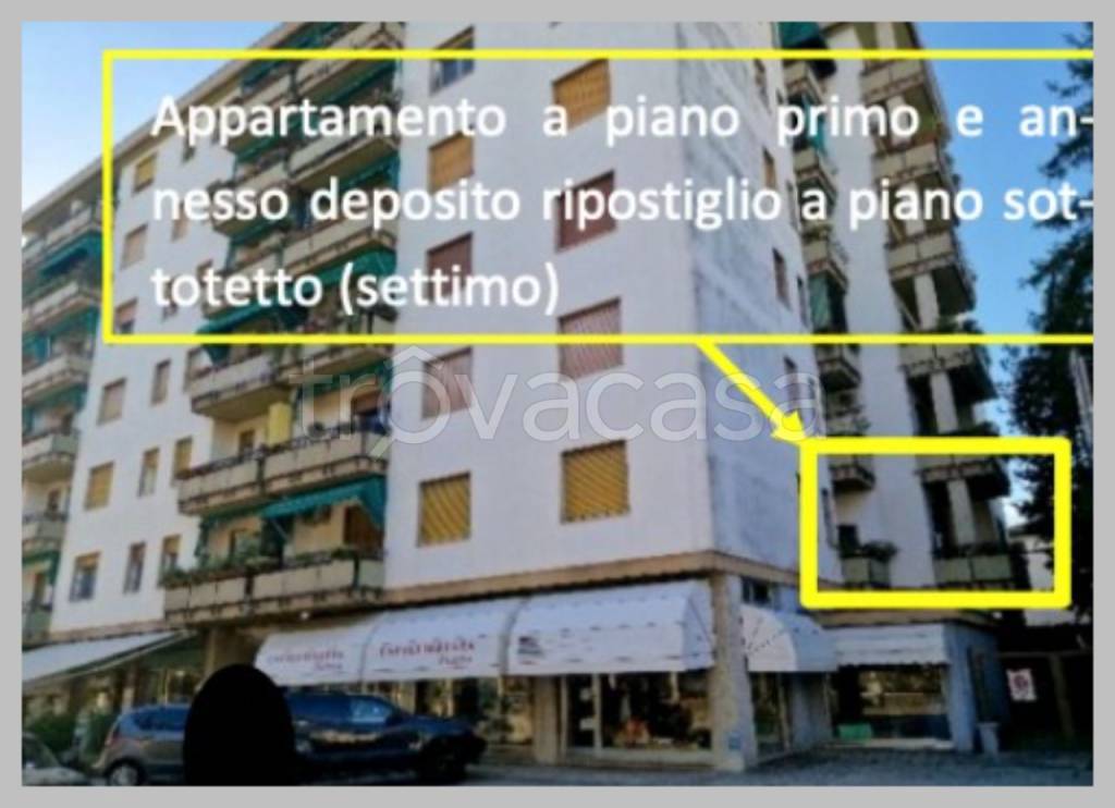 immagine annuncio 9 di 15