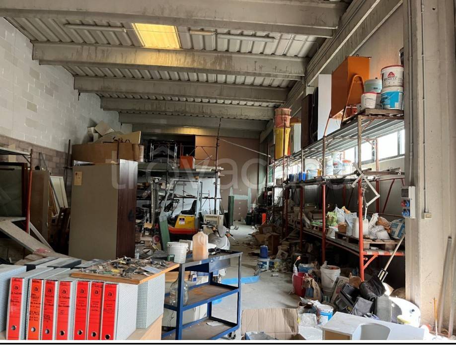 immagine annuncio 5 di 15