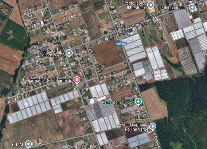 immagine annuncio 6 di 15