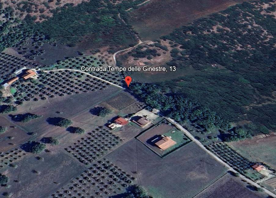 immagine annuncio 3 di 11