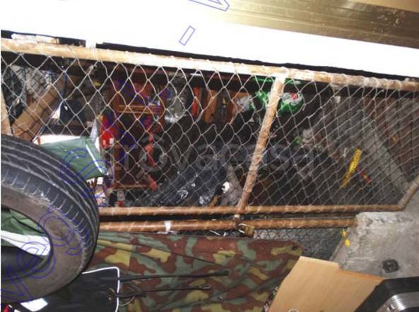 immagine annuncio 10 di 15