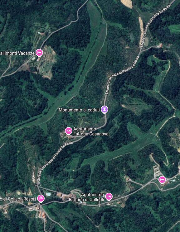 immagine annuncio 3 di 15