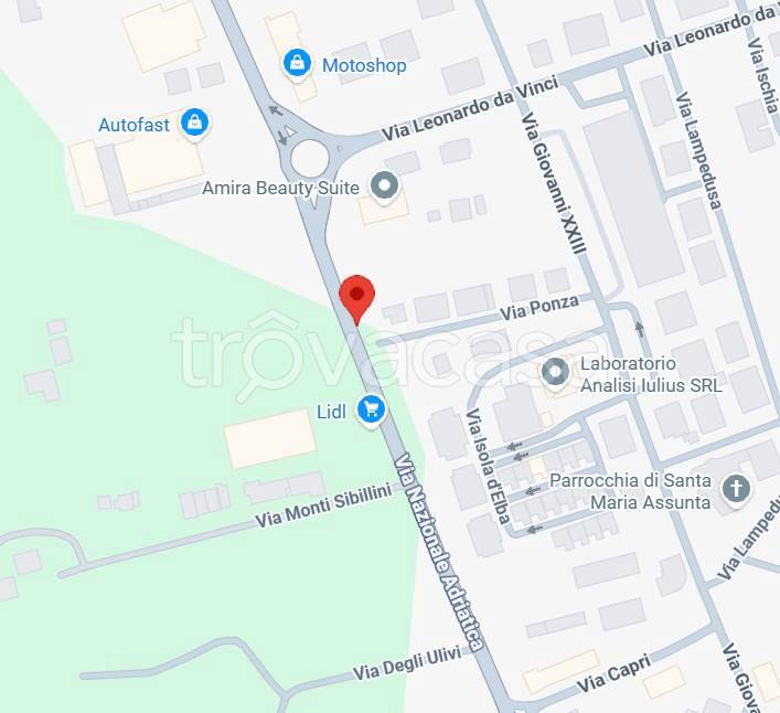 immagine annuncio 4 di 15