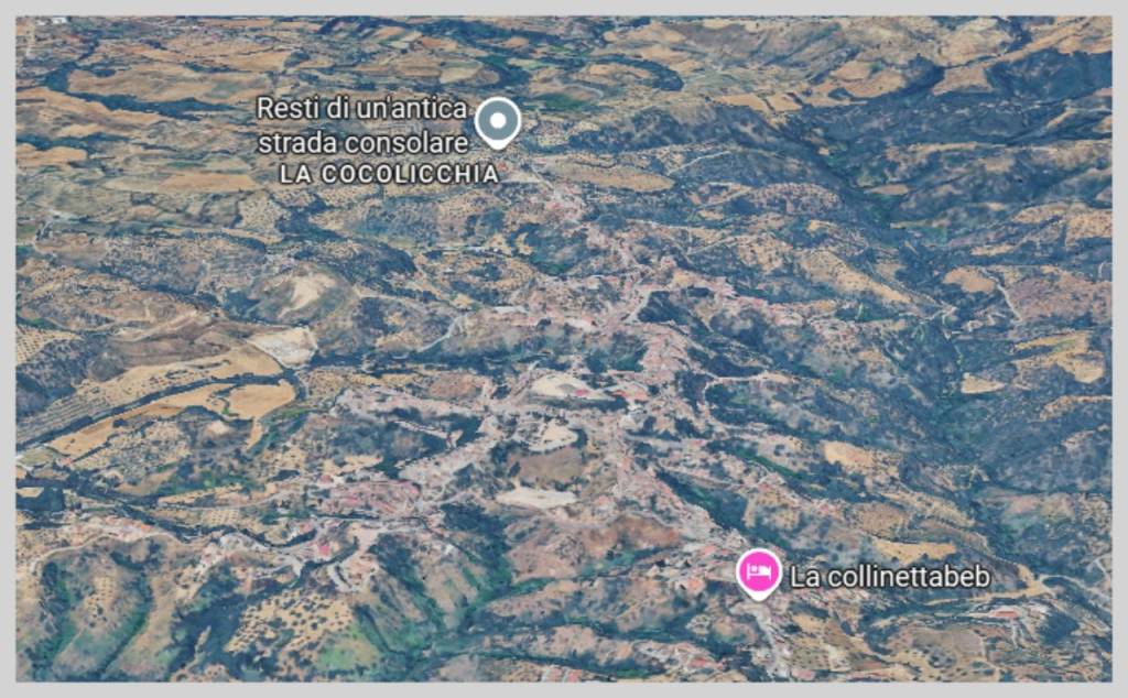 immagine annuncio 11 di 15