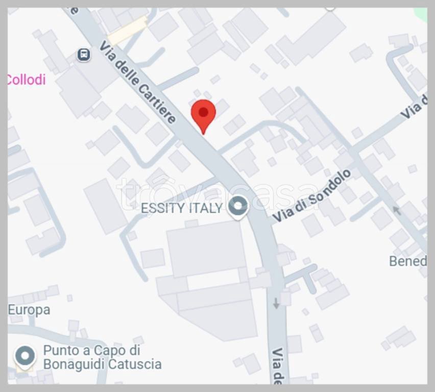 immagine annuncio 13 di 15