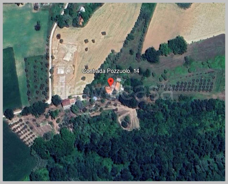 immagine annuncio 10 di 15