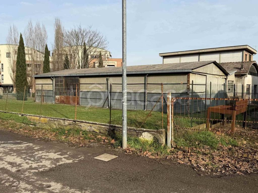 immagine annuncio 3 di 7