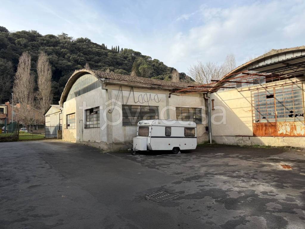 immagine annuncio 4 di 7