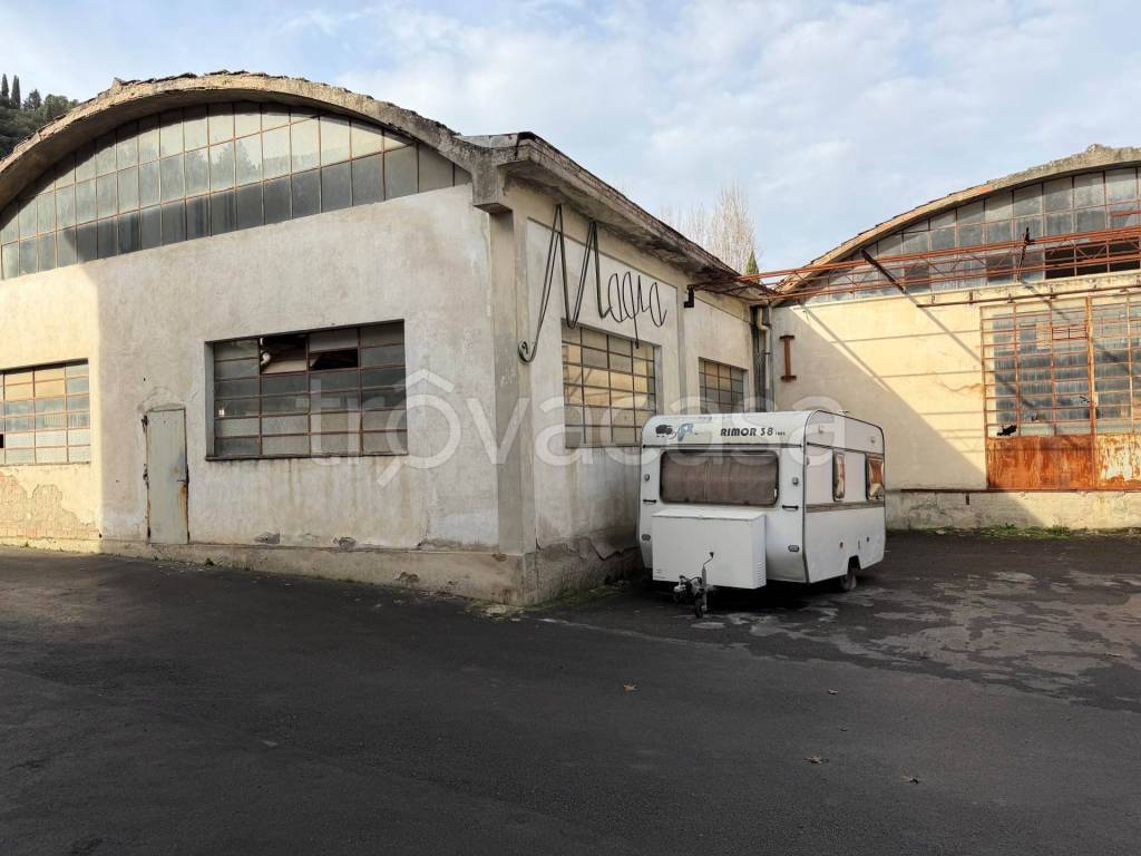 immagine annuncio 5 di 7