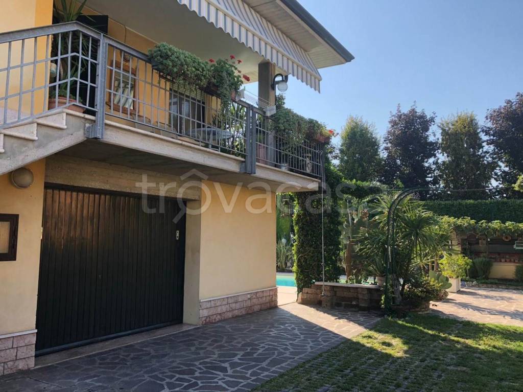 immagine annuncio 2 di 12