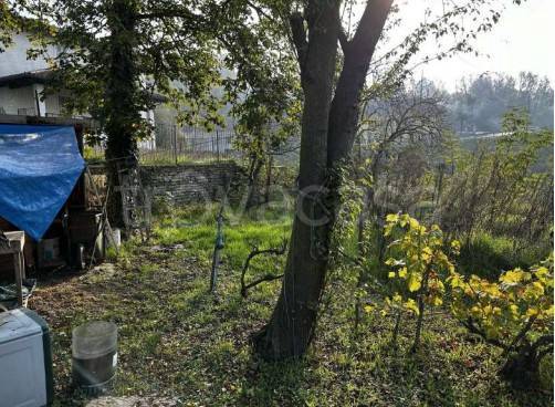 immagine annuncio 3 di 14