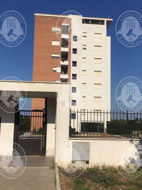 immagine annuncio 1 di 7