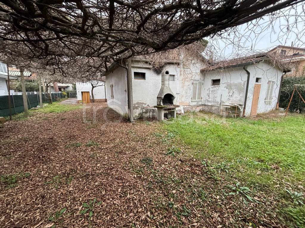 immagine annuncio 2 di 11