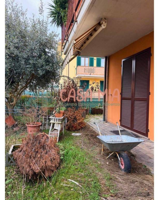 immagine annuncio 6 di 15