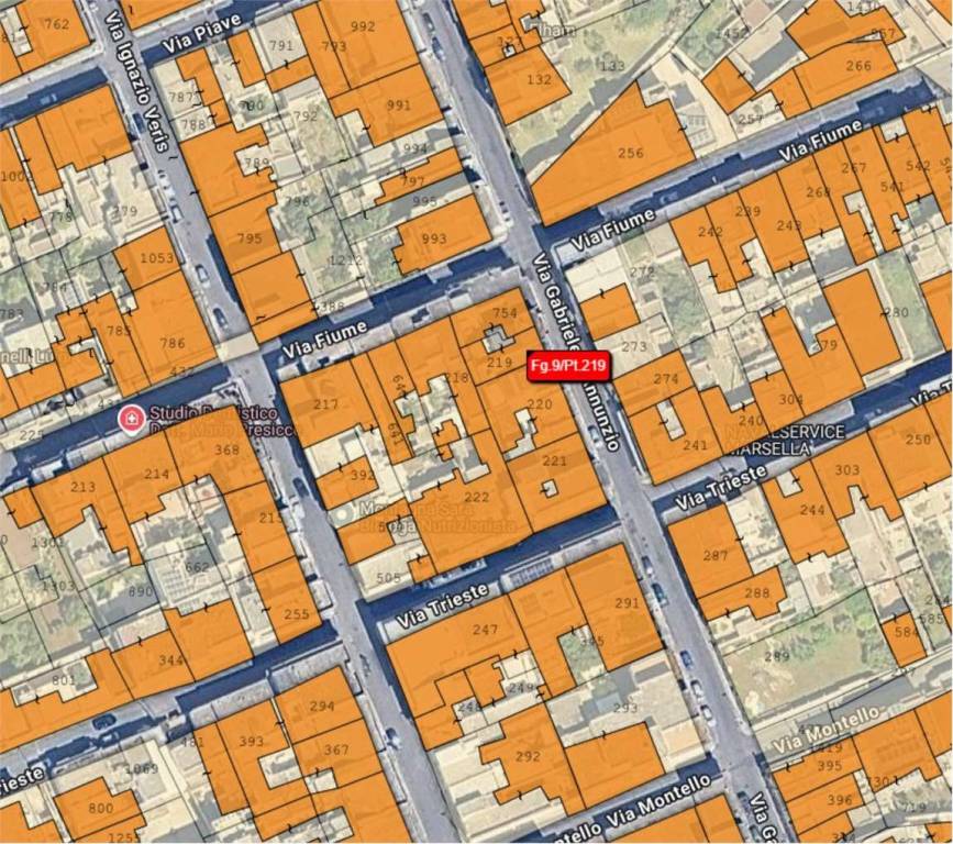 immagine annuncio 1 di 14