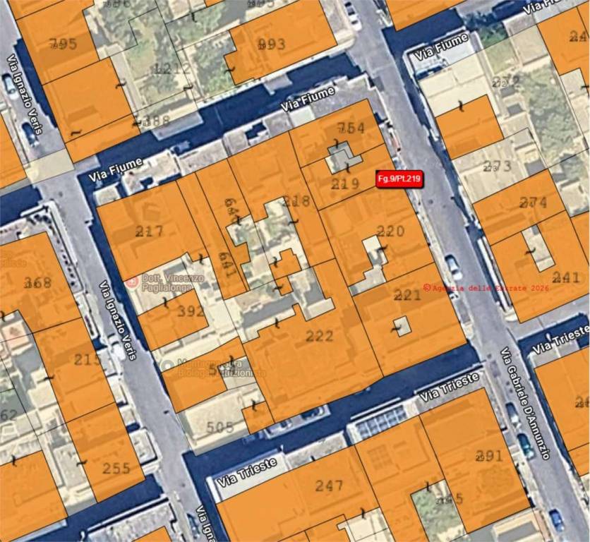 immagine annuncio 6 di 14