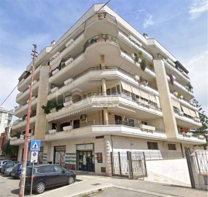 immagine annuncio 6 di 14