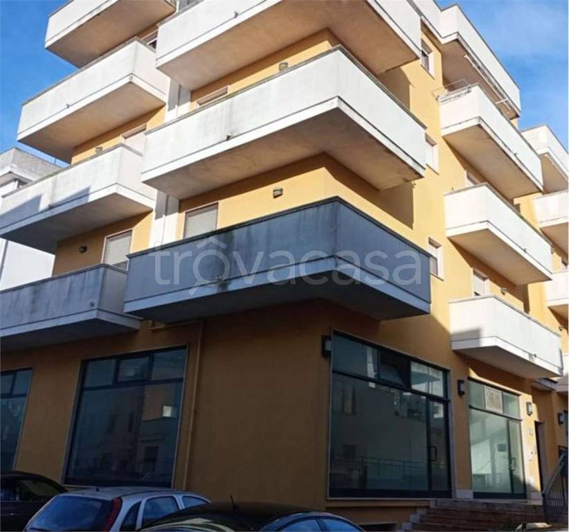 immagine annuncio 6 di 13